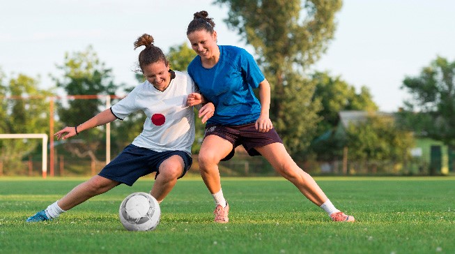 培养模式 培养模式