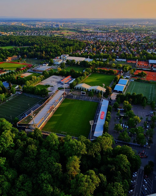 深圳队曾在 深圳队曾在