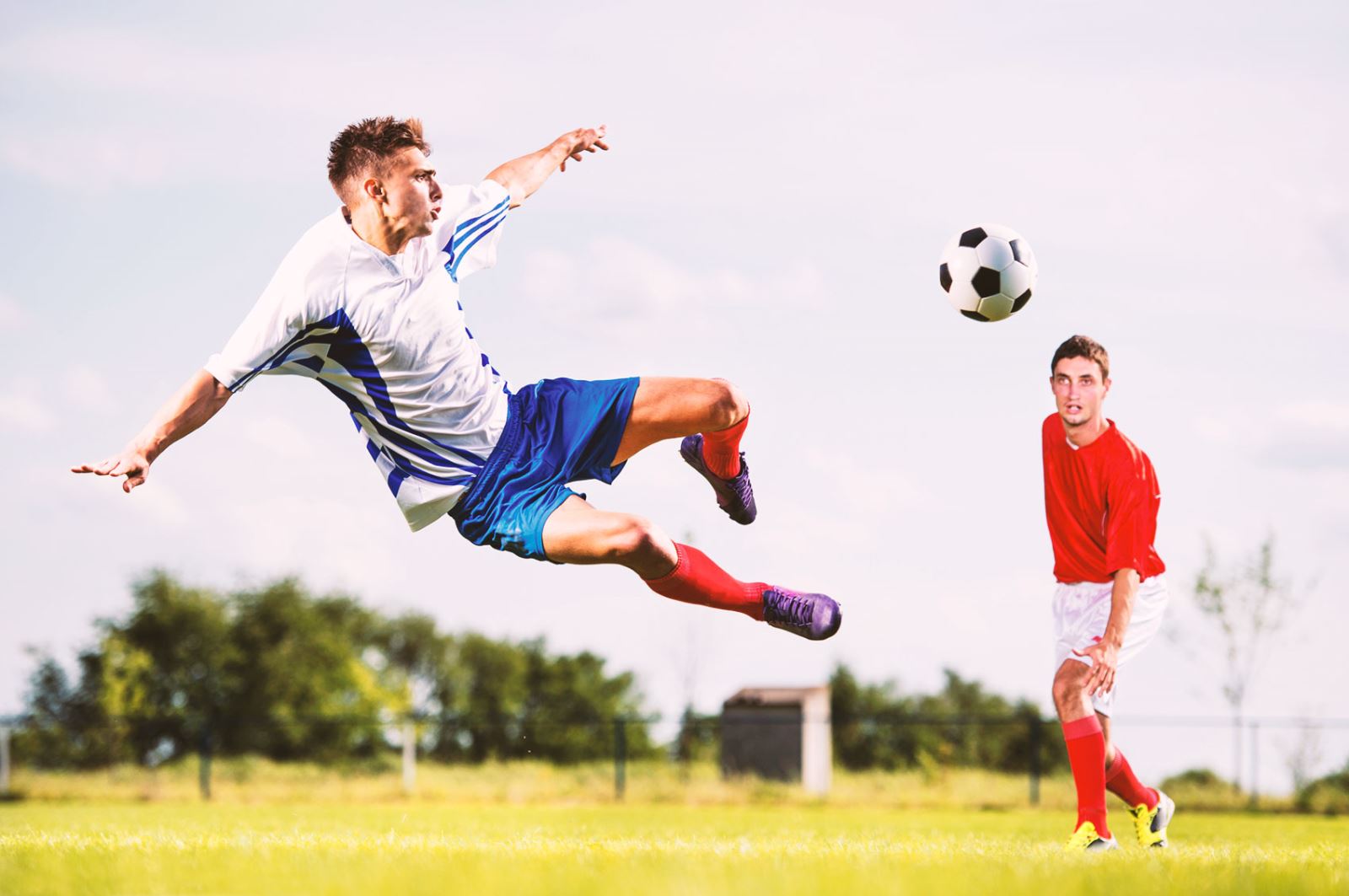 这些都是全 这些都是全